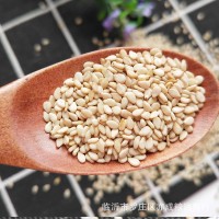生白芝麻带皮白芝麻50斤免淘洗 五谷杂粮白芝麻 1袋