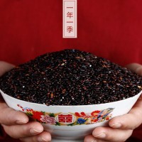 新疆伊犁察布查尔察农血糯米梗米5kg礼盒装蒸米饭煮粥代发批发 1袋