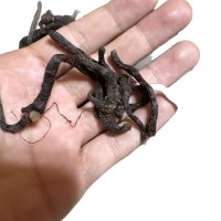 玉竹批发制九蒸九晒电商一件代发条型好无碎颜色好大条现九蒸九晒 1件