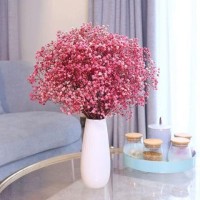 满天星半干花花束小清新家摆设装饰客厅办公室摆件风干勿忘我代发 1个